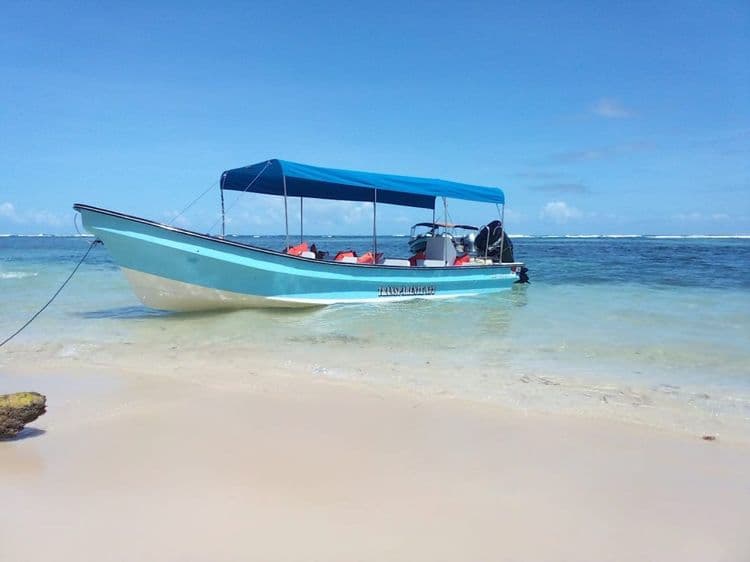 Zapatilla Cay Tour – Wildlife, Snorkel & Beaches